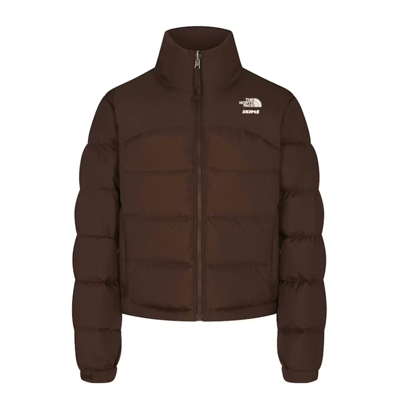 skims-north-face-retail-brown-jacket