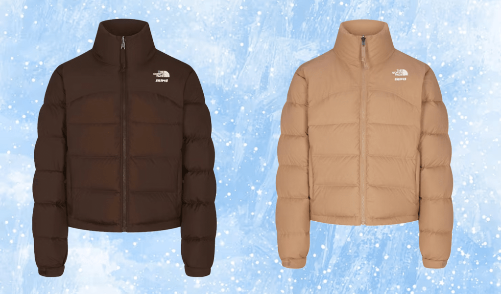 skims-north-face-retail-in-text-image