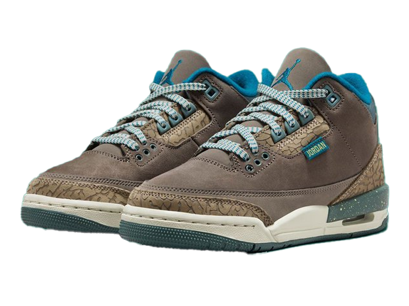 Air Jordan 3 GS We Outside colorway featuring premium earth-toned textures for New Year's Day release.