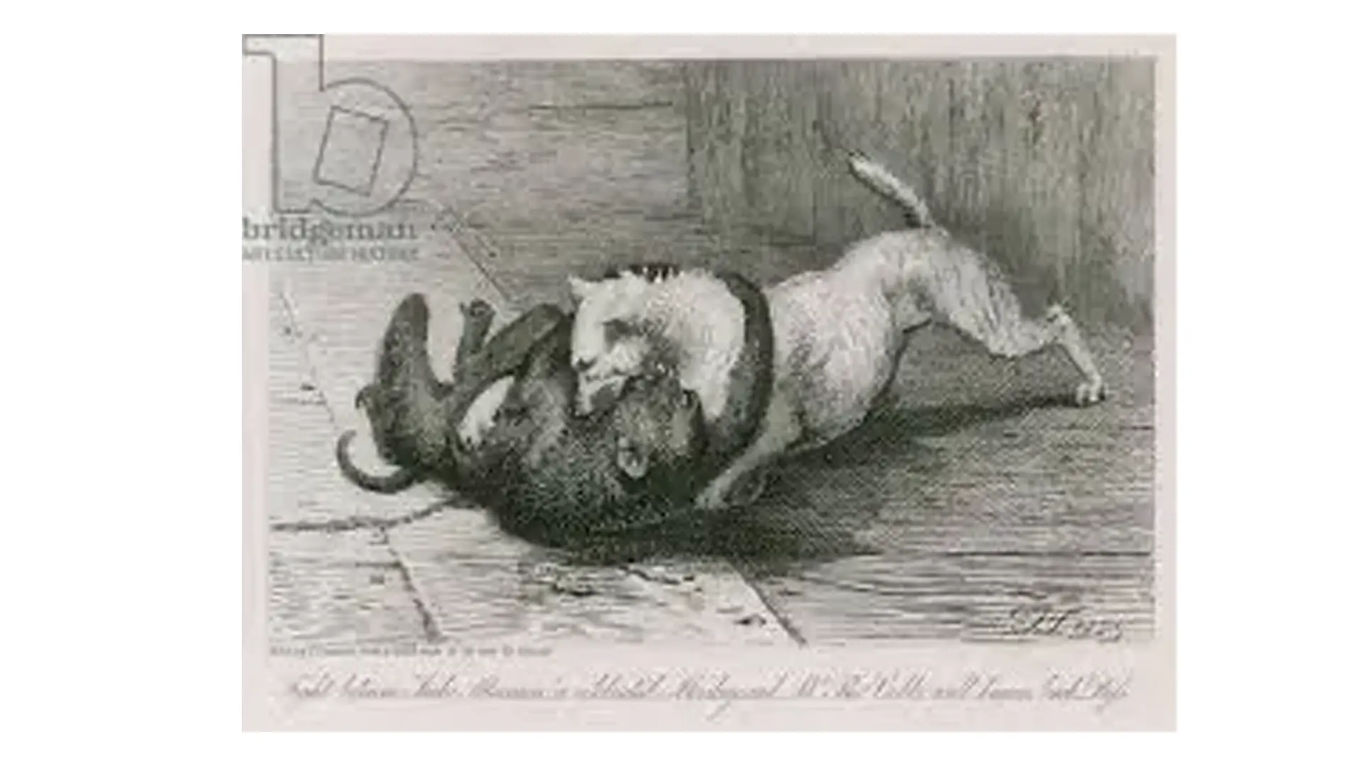 19th-century newspaper illustration referencing Jacco Macacco, a performing monkey featured in British popular culture.