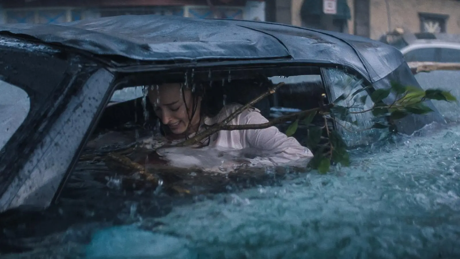 Sharks in a Hurricane: Why the Intense New Thriller ‘Thrash’ is No. 1 on Netflix Today