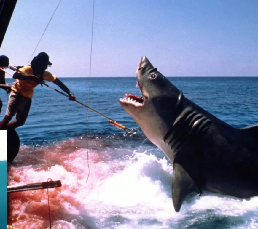 A cinematic film still from the 1975 movie Jaws showing Police Chief Martin Brody throwing chum into the ocean from the back of the Orca fishing boat right before encountering the great white shark.